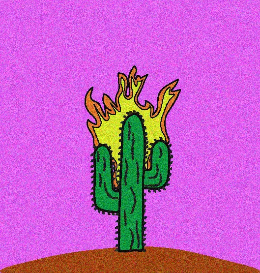 Cactus.ai